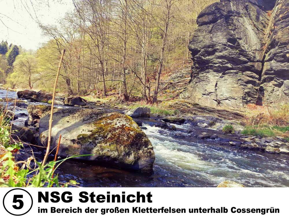 NSG Steinicht im Bereich der großen Kletterfelsen unterhalb Cossengrün
