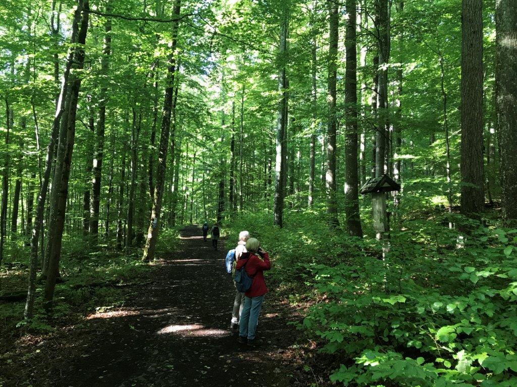 Bild15-Naturlehrpfad Gangolfsberg