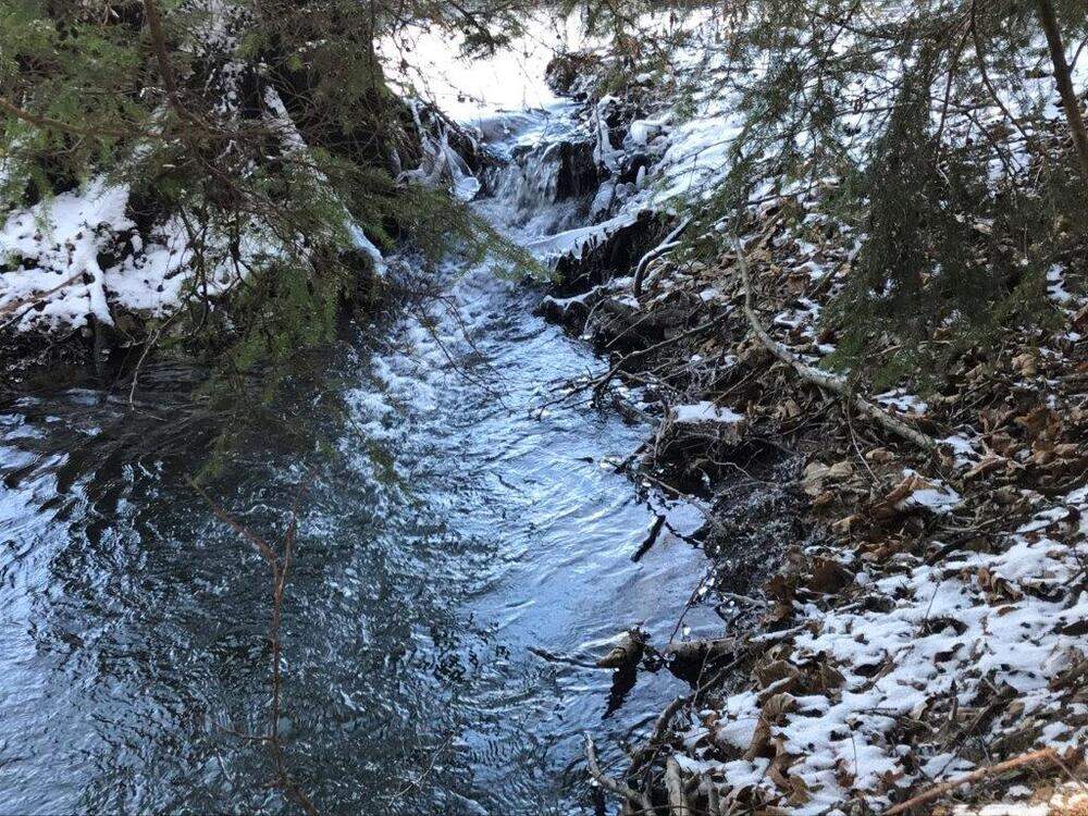 Lohbach