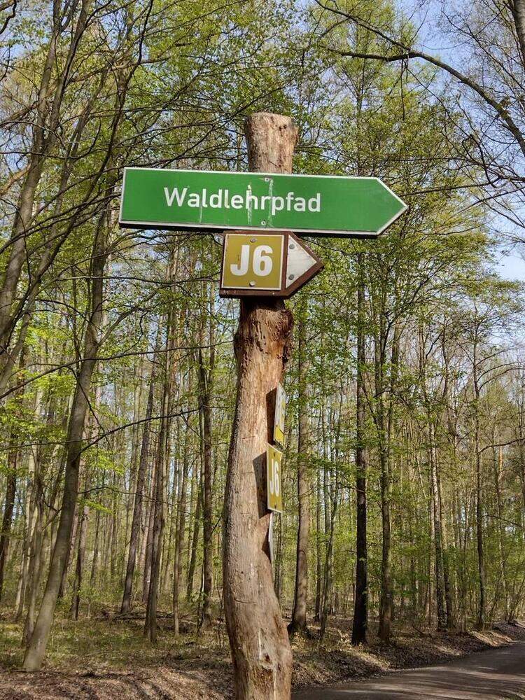 Wegweiser Waldlehrpfad