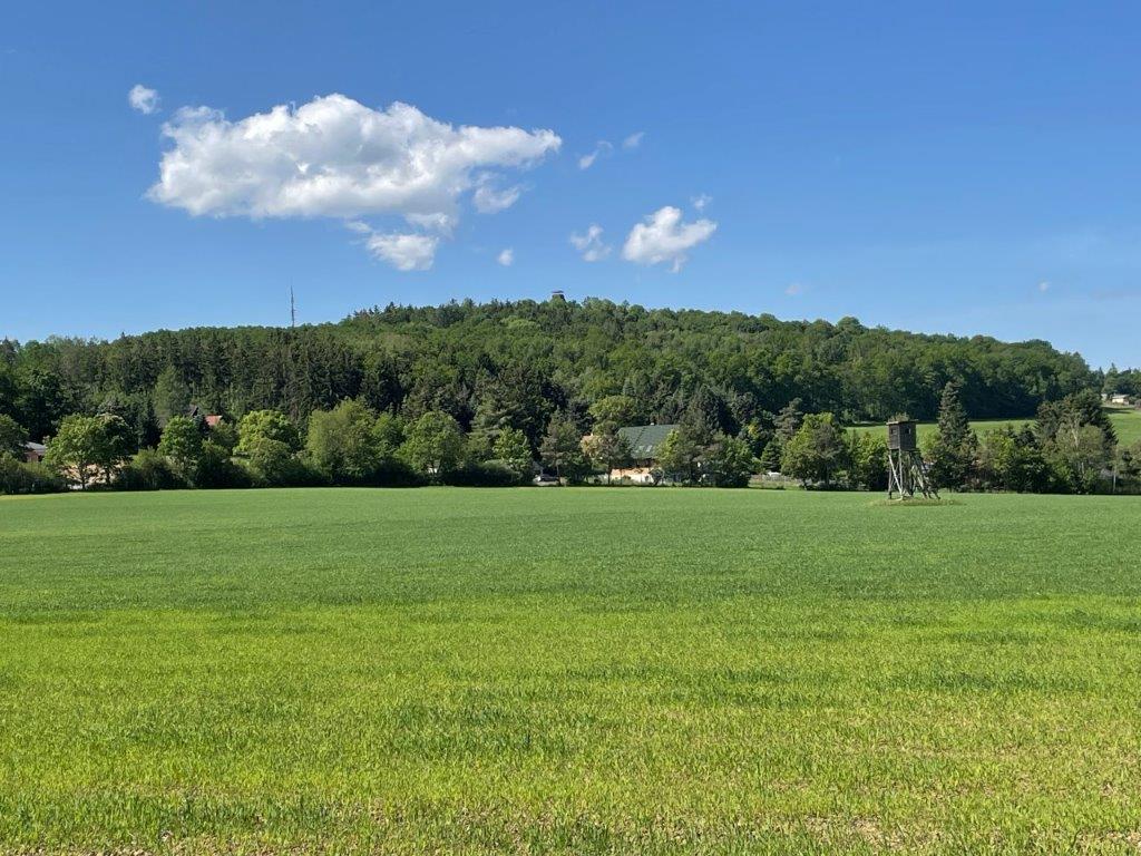 05-Blick zum Kemmler vom Reusaer Wald