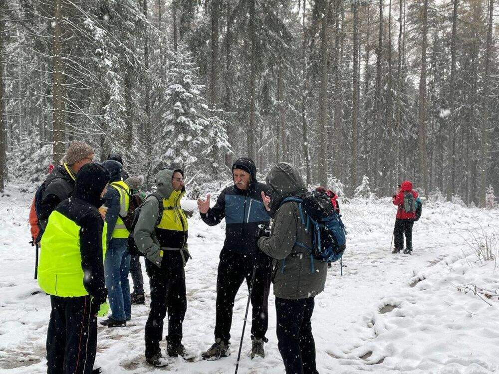 Im Winterwald