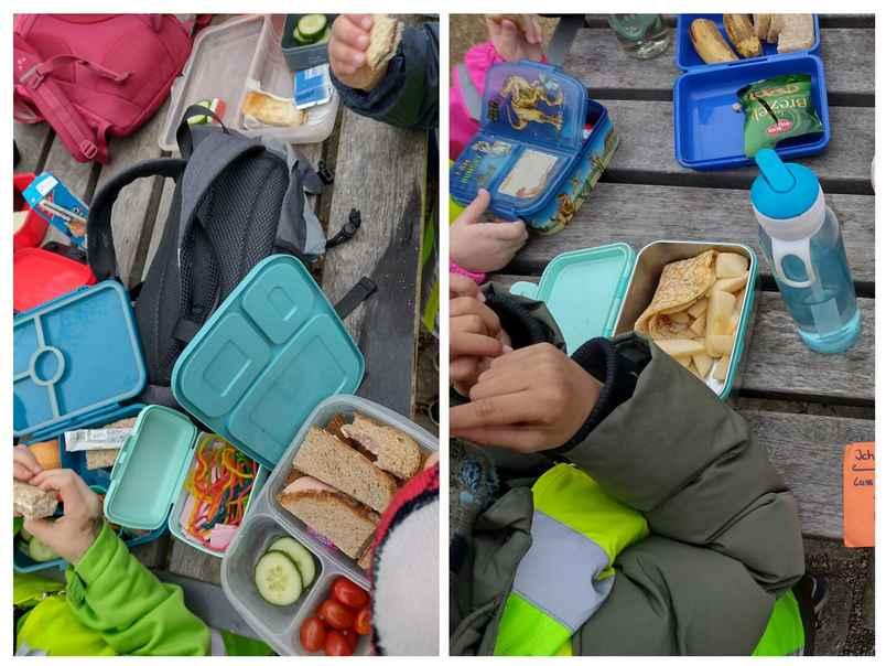Bild02-Picknick am Spielplatz–Naturfreunde schaut euch das an!!